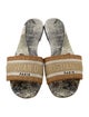 Christian Dior Printed Embroidered Accent Slides