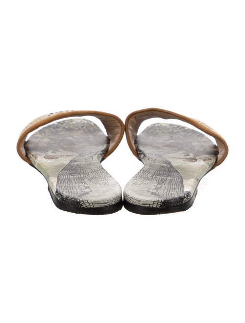 Christian Dior Printed Embroidered Accent Slides