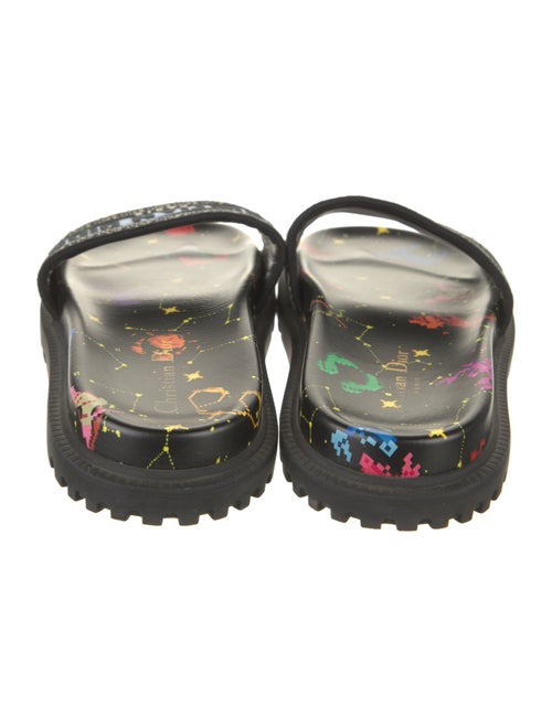 Christian Dior Canvas Printed Slides