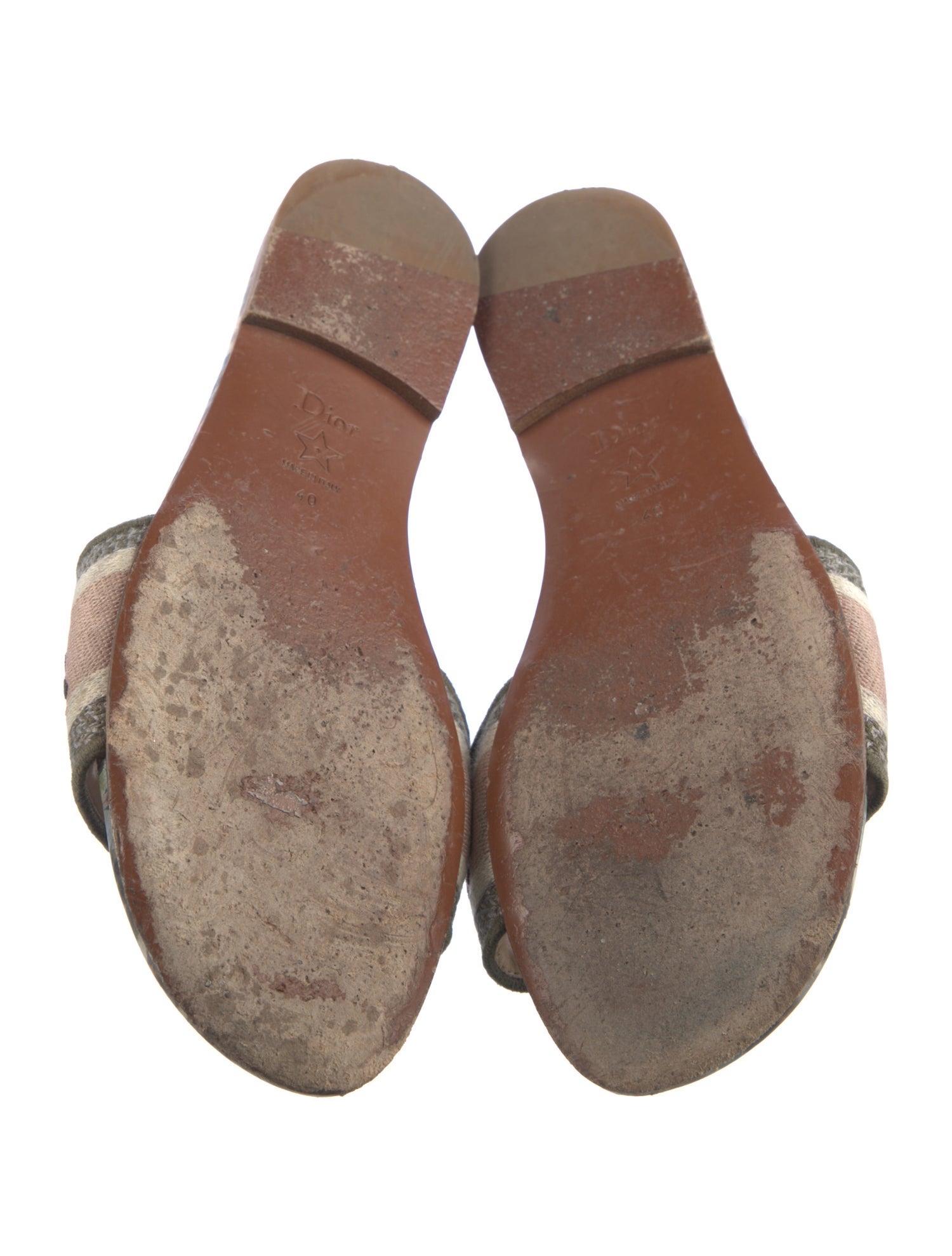 Christian Dior Printed Embroidered Accent Slides