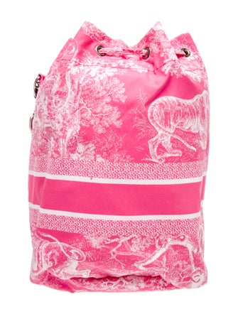 Christian Dior Toile de Jouy Backpack 2022