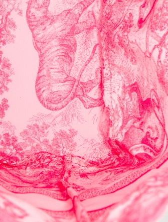 Christian Dior Toile de Jouy Backpack 2022