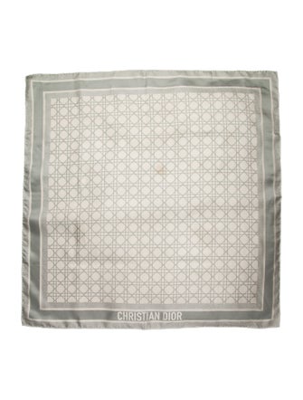 Christian Dior Silk Printed Scarf
