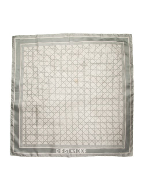 Christian Dior Silk Printed Scarf
