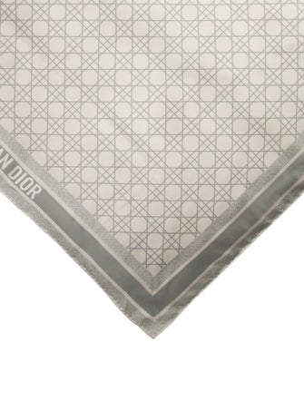 Christian Dior Silk Printed Scarf