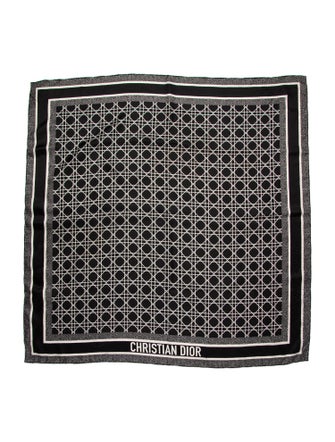 Christian Dior Silk Printed Scarf