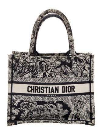 Christian Dior Canvas Book Small 2022