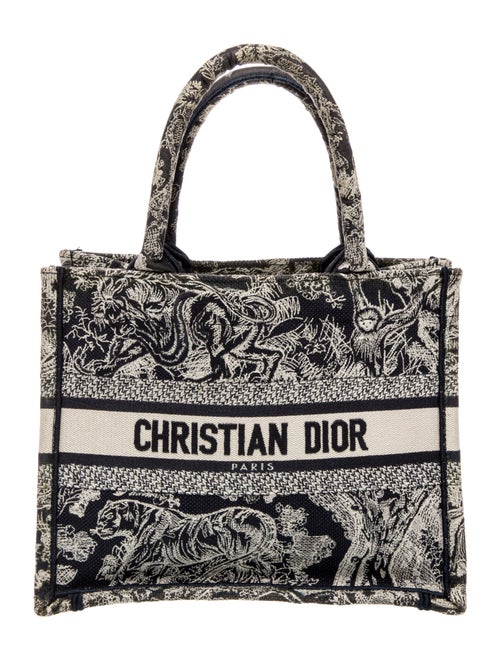 Christian Dior Canvas Book Small 2022