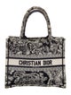 Christian Dior Canvas Book Small 2022