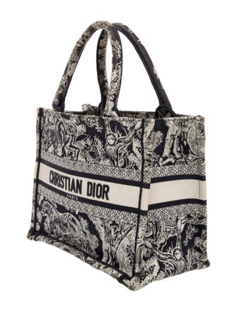 Christian Dior Canvas Book Small 2022