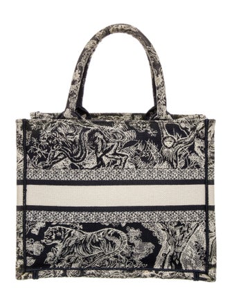 Christian Dior Canvas Book Small 2022