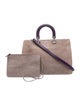 Christian Dior Suede Diorissimo Large