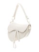 Christian Dior Leather Saddle