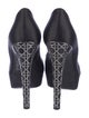 Christian Dior Suede Pumps