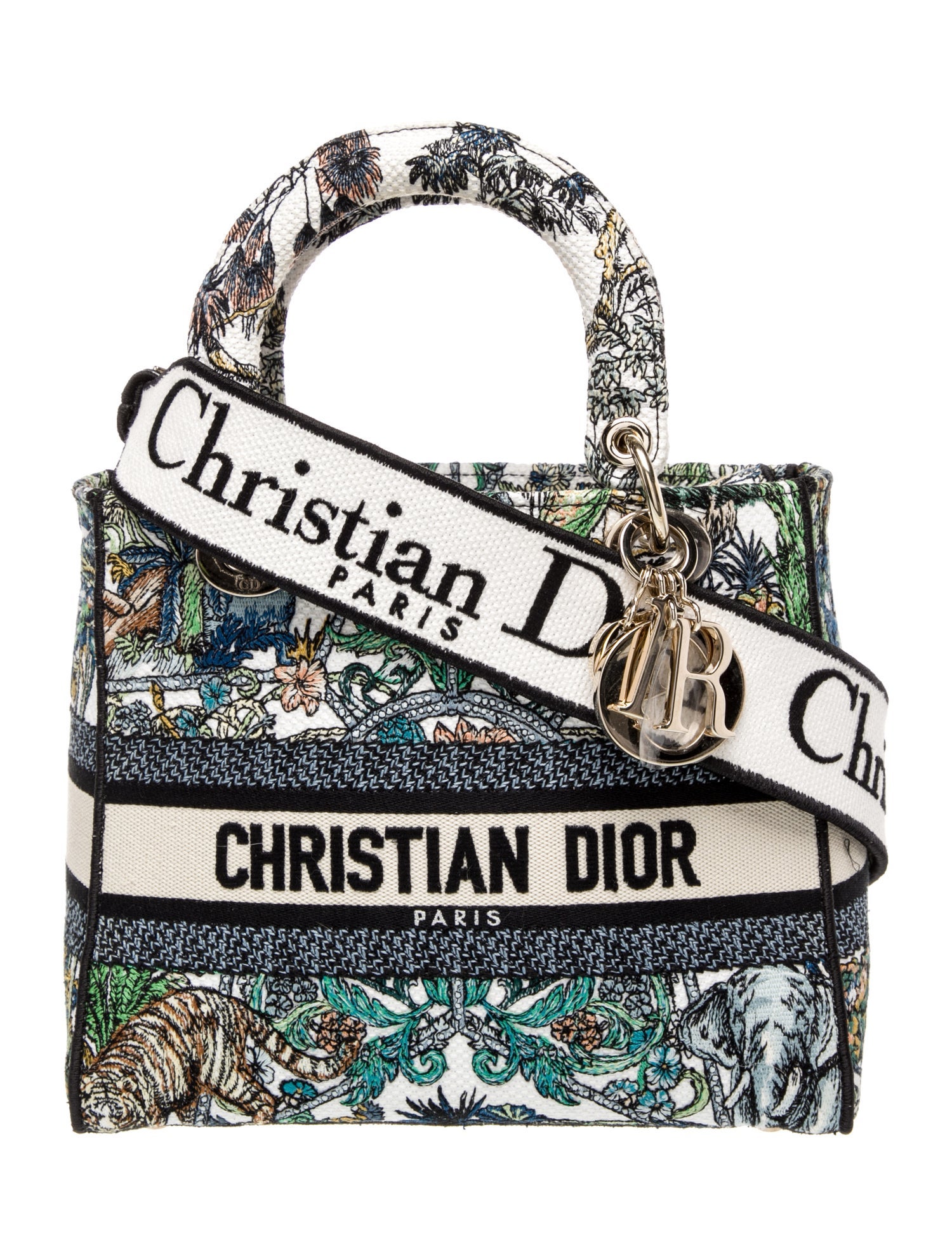 Christian Dior Canvas D-Lite 2023