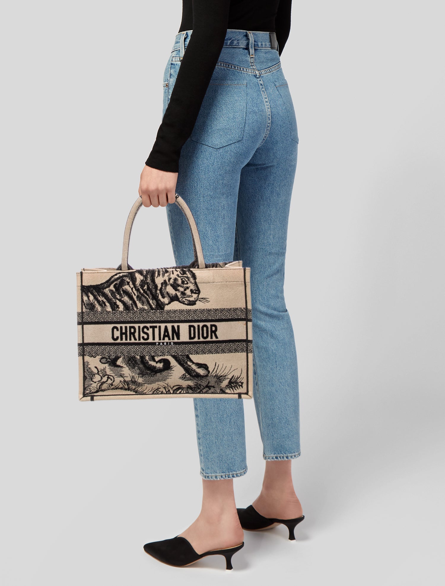 Christian Dior Canvas Book Medium 2022