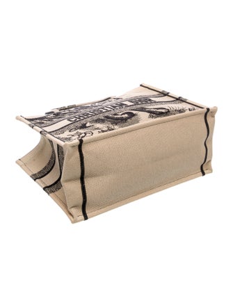 Christian Dior Canvas Book Medium 2022