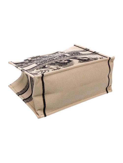 Christian Dior Canvas Book Medium 2022