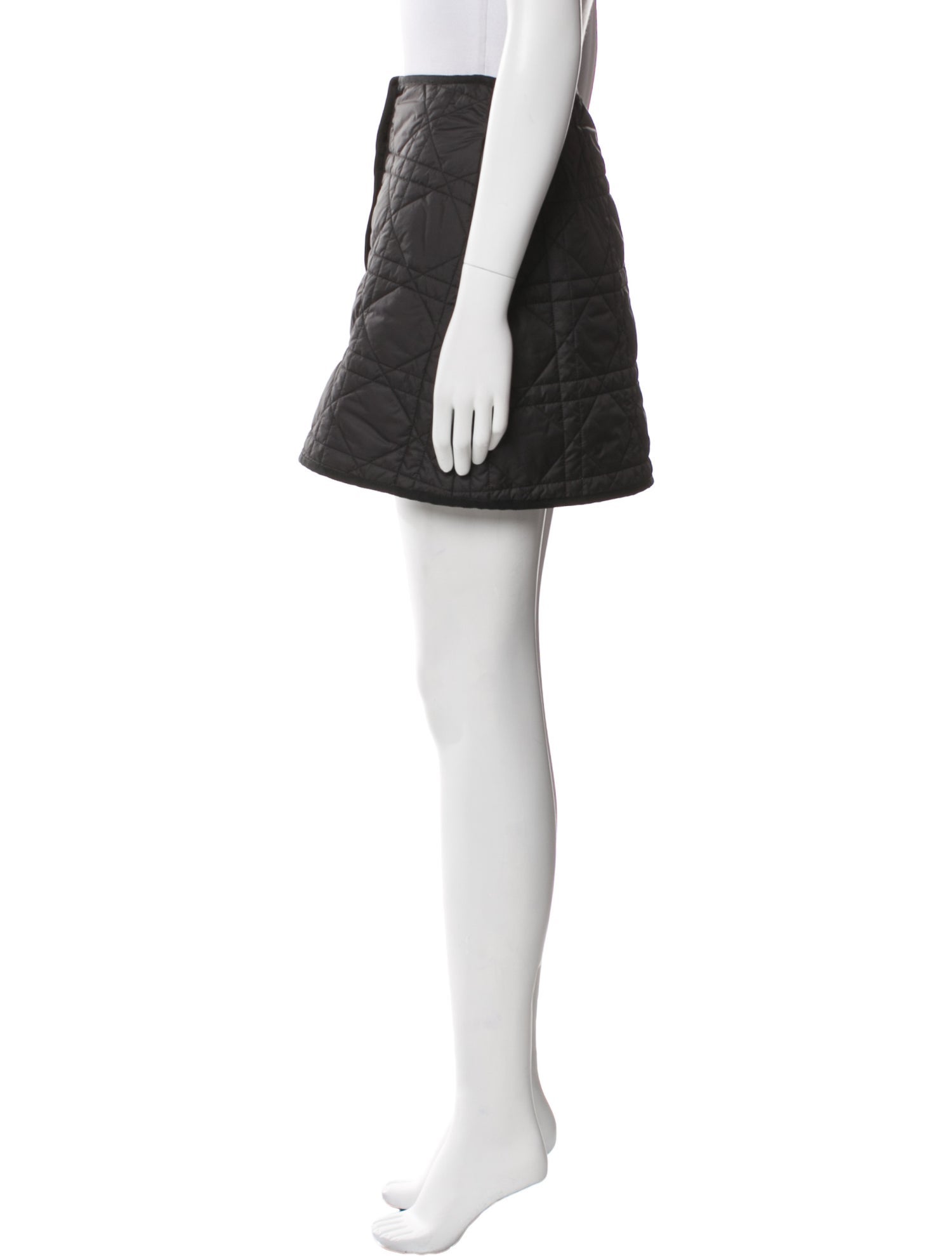 Christian Dior 2022 Mini Skirt