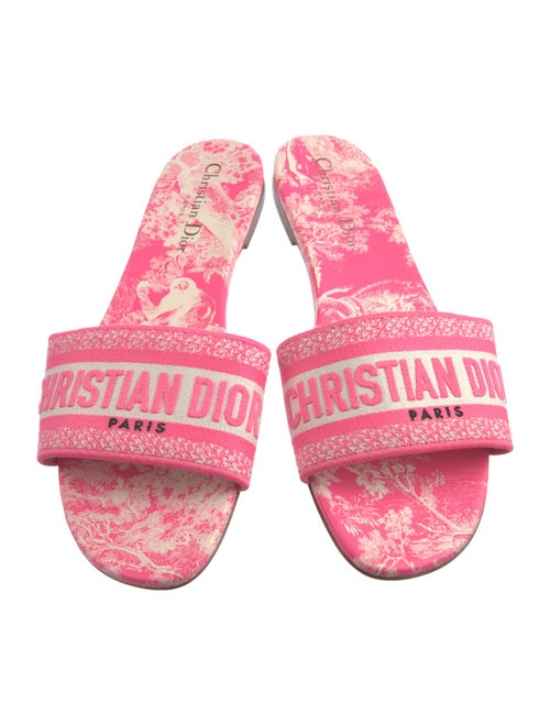Christian Dior Printed Embroidered Accent Slides