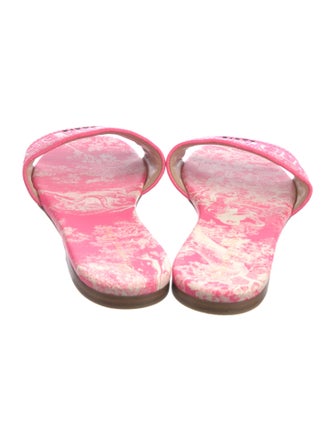 Christian Dior Printed Embroidered Accent Slides