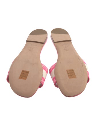 Christian Dior Printed Embroidered Accent Slides