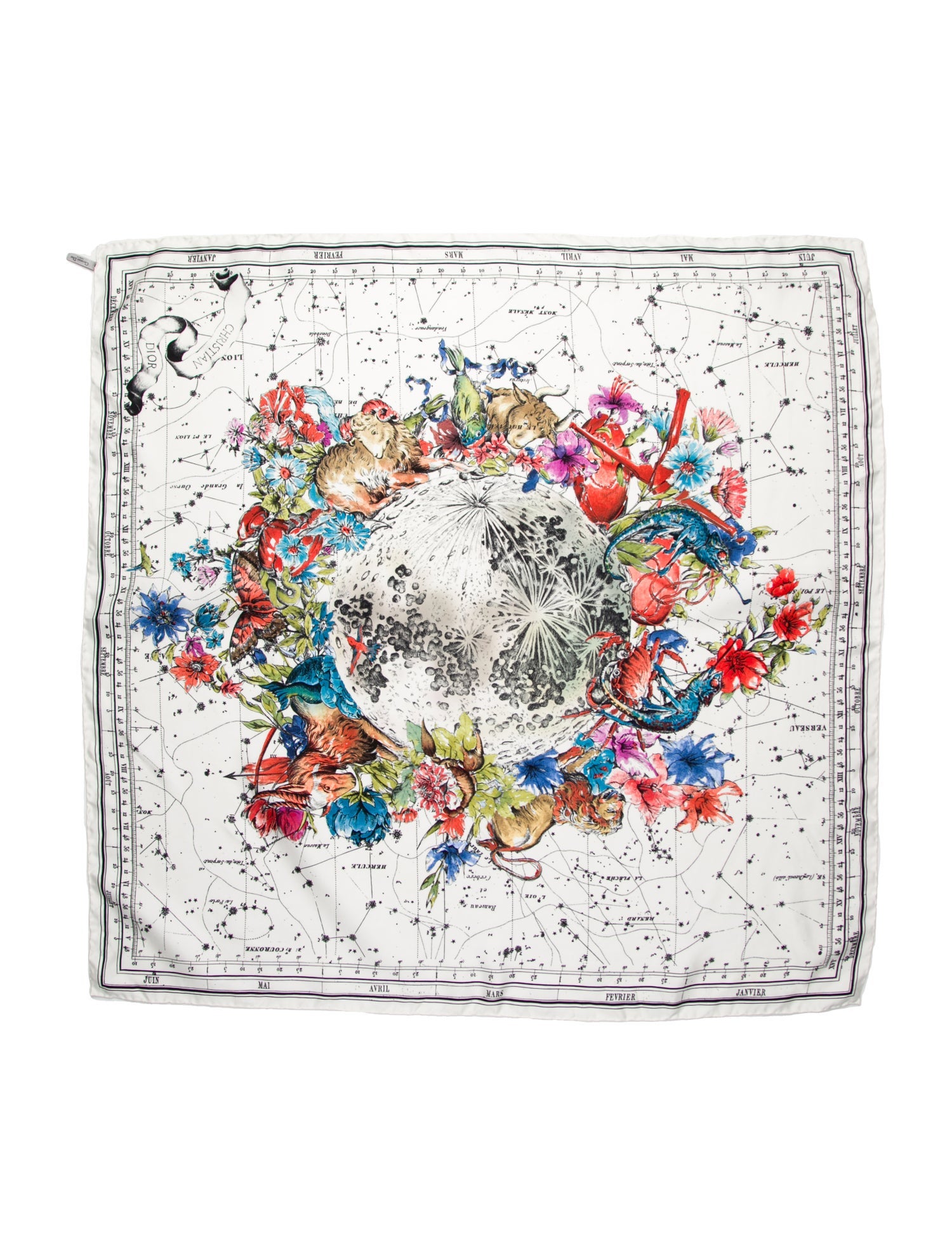 Christian Dior Silk Printed Scarf