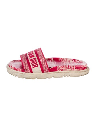 Christian Dior Printed Embroidered Accent Espadrilles