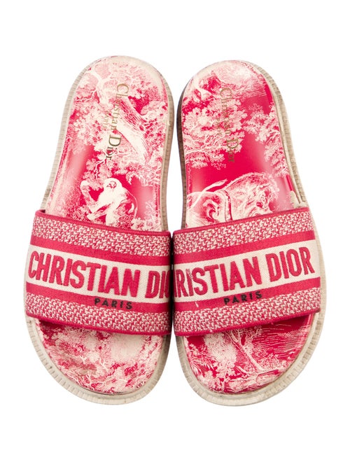 Christian Dior Printed Embroidered Accent Espadrilles