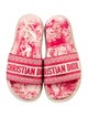 Christian Dior Printed Embroidered Accent Espadrilles