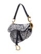 Christian Dior Toile de Jouy Saddle