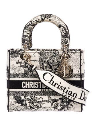 Christian Dior Toile de Jouy Zodiac D-Lite Medium 2022