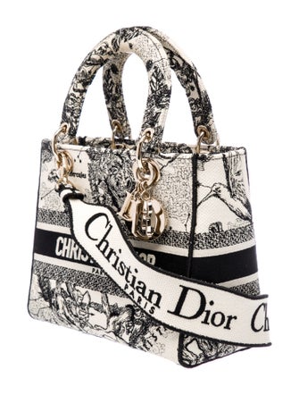 Christian Dior Toile de Jouy Zodiac D-Lite Medium 2022