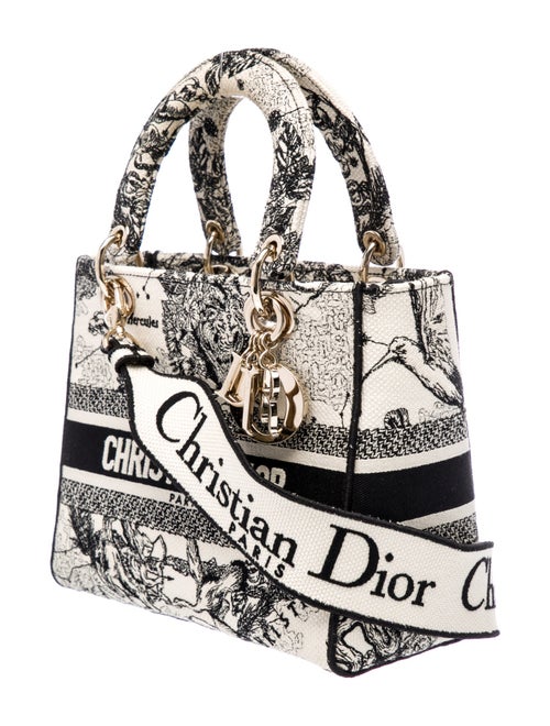 Christian Dior Toile de Jouy Zodiac D-Lite Medium 2022
