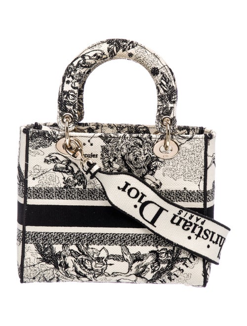 Christian Dior Toile de Jouy Zodiac D-Lite Medium 2022