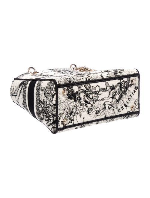 Christian Dior Toile de Jouy Zodiac D-Lite Medium 2022