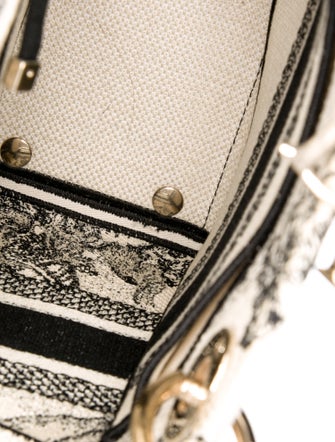 Christian Dior Toile de Jouy Zodiac D-Lite Medium 2022