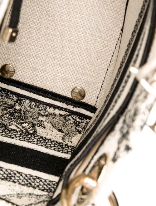Christian Dior Toile de Jouy Zodiac D-Lite Medium 2022