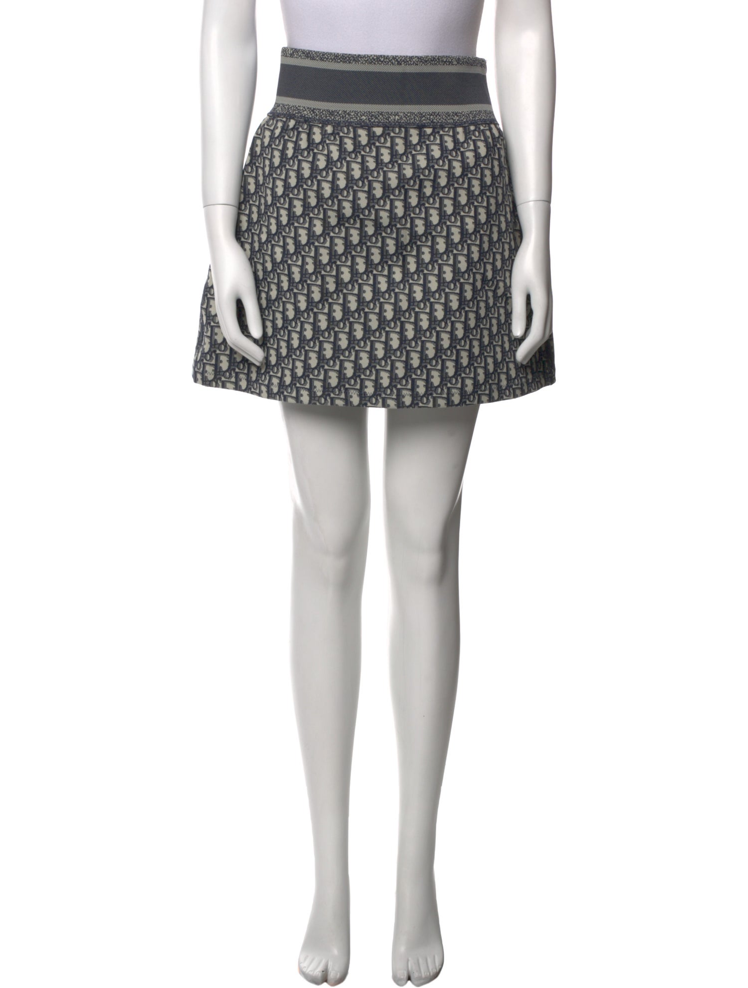 Christian Dior 2021 Mini Skirt