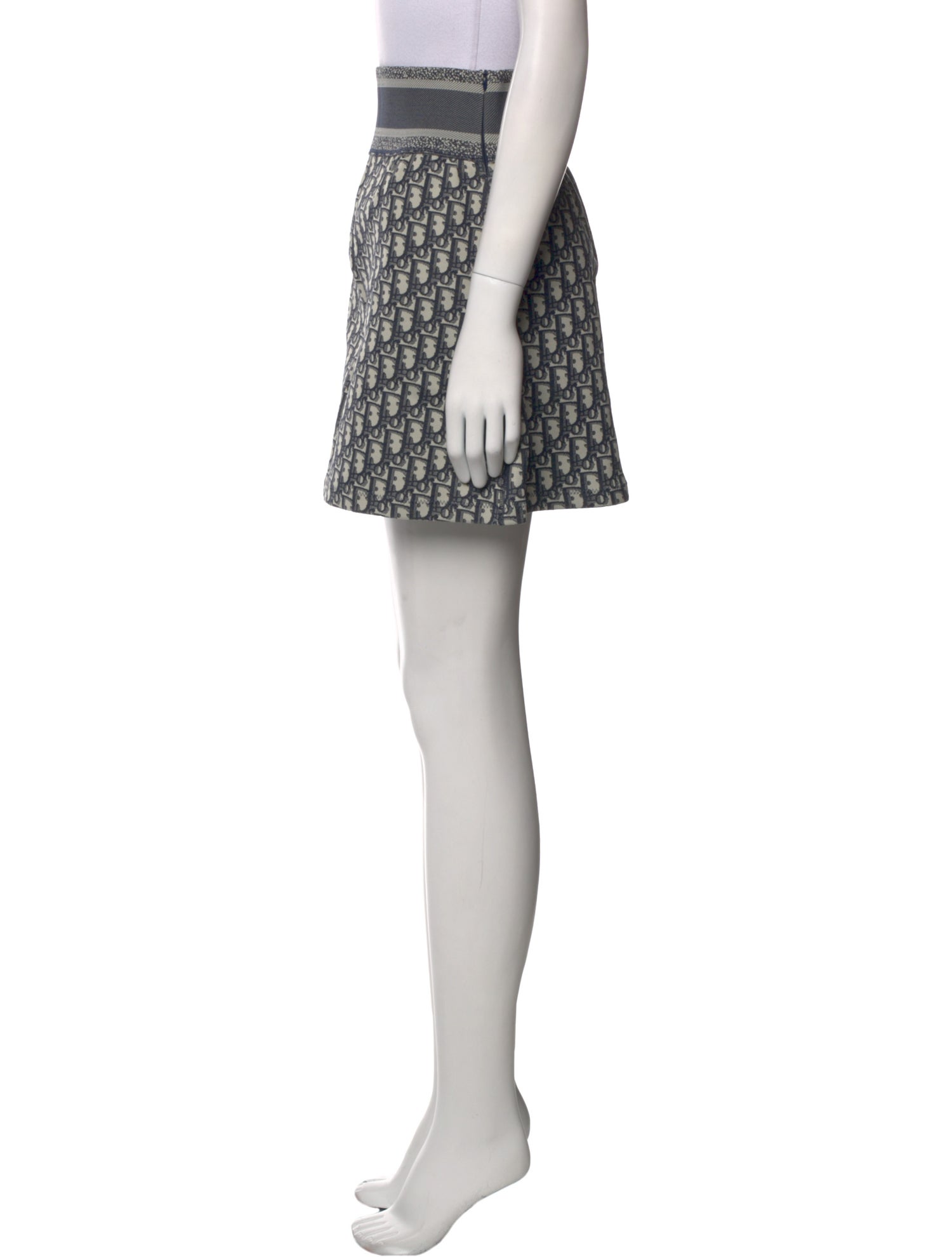 Christian Dior 2021 Mini Skirt