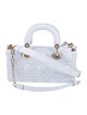 Christian Dior Cannage D-Joy Small 2022