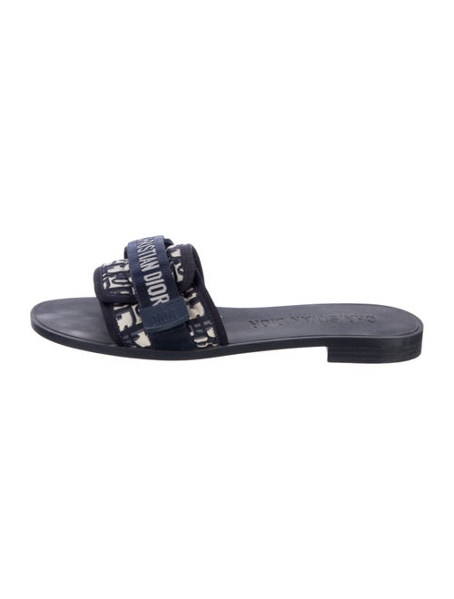 Christian Dior 2024 Dio(r)evolution Slides