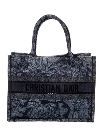 Christian Dior Canvas Book Medium 2023