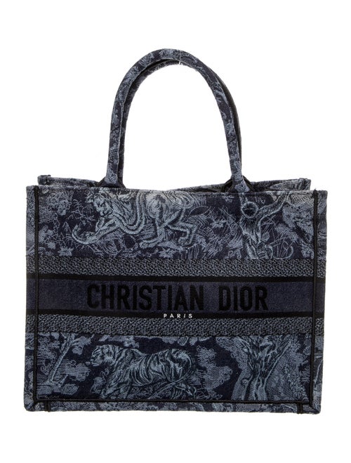 Christian Dior Canvas Book Medium 2023