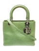 Christian Dior Python Lady Dior
