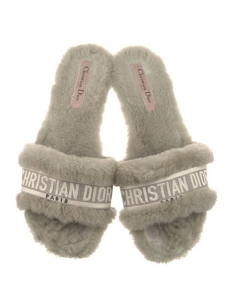 Christian Dior Fur Printed Slides