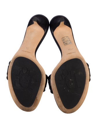 Christian Dior Canvas Slides