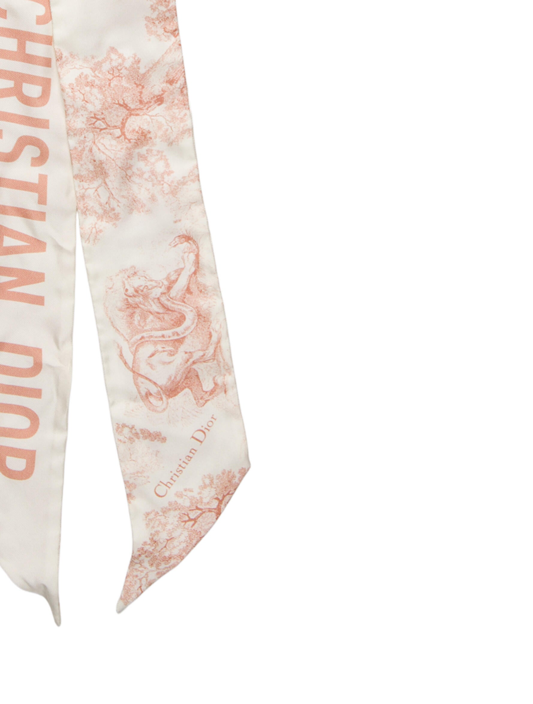 Christian Dior Silk Printed Scarf