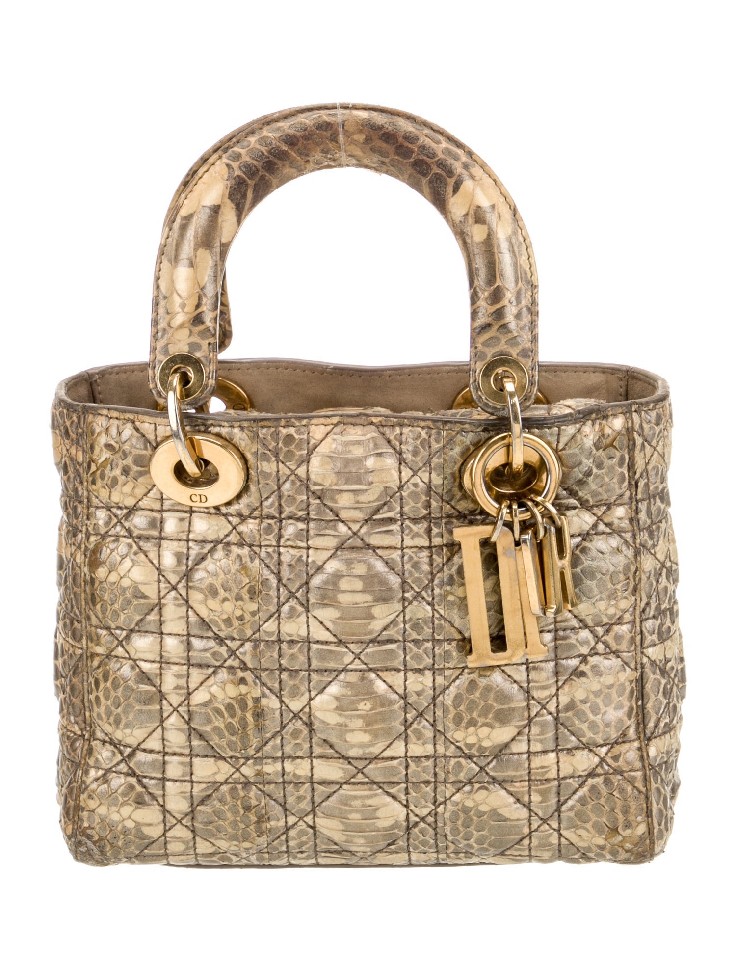 Christian Dior Python Lady Dior