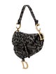 Christian Dior Canvas Saddle